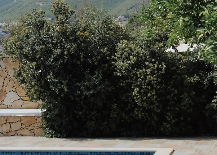 Stunning Gold With Oasis Pool * Solin